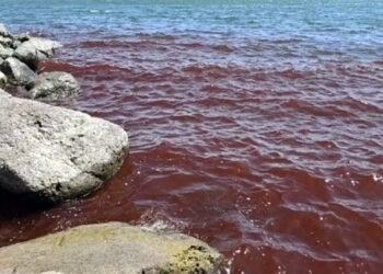 Mar da Galileia fica vermelho e desperta curiosidade, “presságio bíblico?”