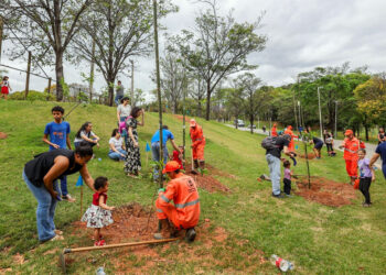 Ipatinga realiza 3ª edição do Projeto Frutos da Vida no Parque Ipanema