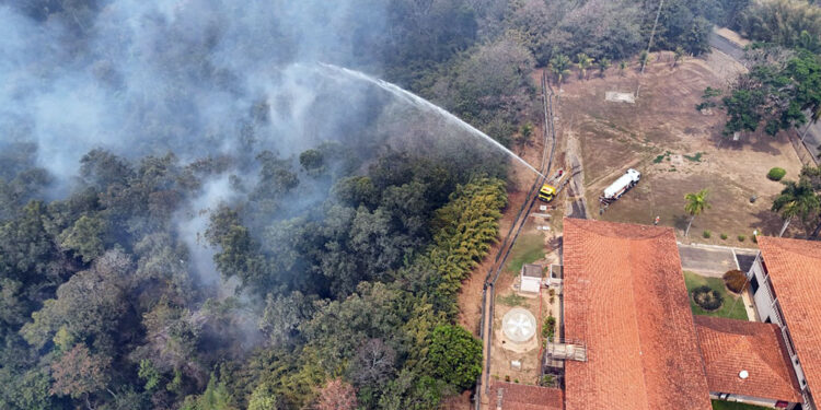 Cenibra monitora áreas afetadas por incêndios e intensifica prevenção
