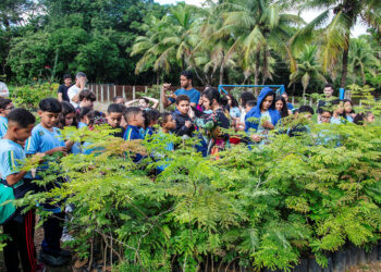 Instituto Usiminas promove programações gratuitas para a comunidade em setembro