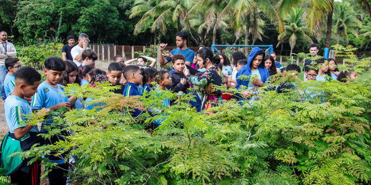 Instituto Usiminas promove programações gratuitas para a comunidade em setembro