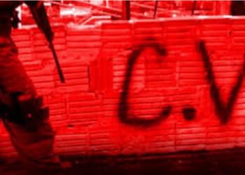 Do presídio ao poder: as origens do Comando Vermelho no Brasil