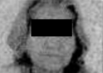 Entidades das fraudes do INSS usaram cópias de RG para fraudar biometria