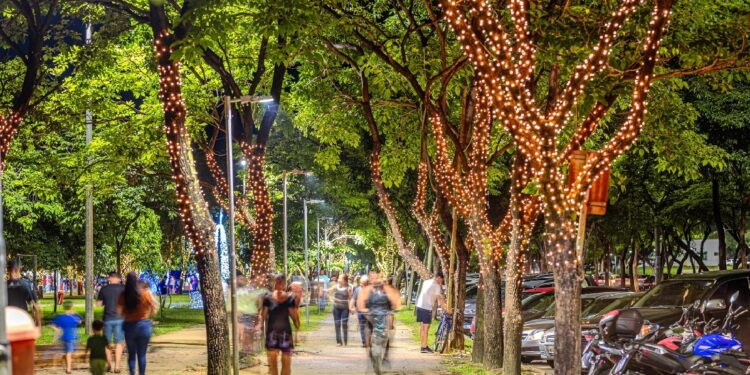 Ipatinga: vândalos destroem iluminação de Natal do Parque Ipanema