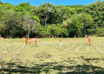 Termina amanhã o prazo para formalização de jazigos perpétuos no Cemitério Senhora da Paz