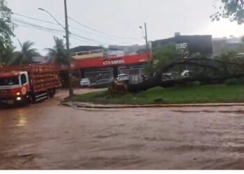 Temporal causa destruição e interdições em ruas de Ipatinga