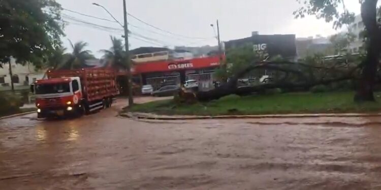 Temporal causa destruição e interdições em ruas de Ipatinga