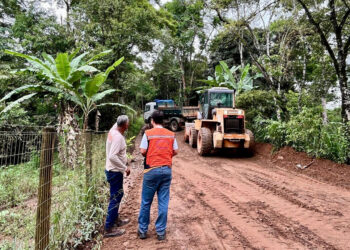 Defesa Civil de Ipatinga registra mais de 100 atendimentos após chuvas e ventos intensos