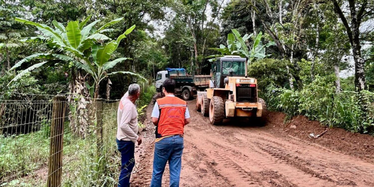 Defesa Civil de Ipatinga registra mais de 100 atendimentos após chuvas e ventos intensos