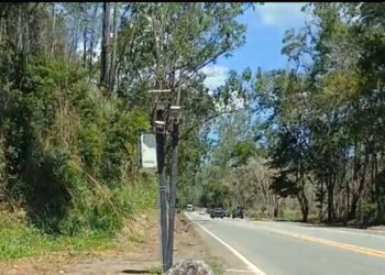 Movimento Pró-Vidas alerta para aumento de acidentes e propõe ajustes na segurança da BR-381