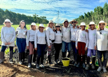 Famílias do Vale do Jequitinhonha cultivam espécies biofortificadas de batata-doce, ricas em vitamina A