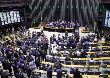 A política não é para amadores, mas continua cheia deles
