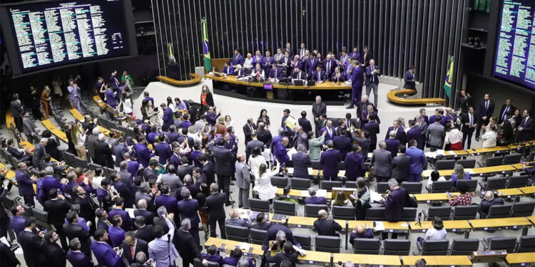 A política não é para amadores, mas continua cheia deles