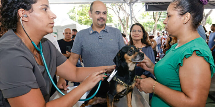 Praça de Serviços do Governo de Minas chega a Ipatinga com diversos atendimentos à população