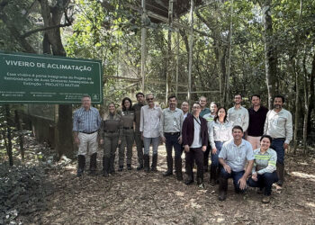 Após 50 anos, jacutinga volta a ser registrada no Parque Estadual do Rio Doce