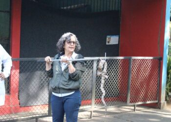 Cebus oferece capacitação sobre manejo de animais para empresas