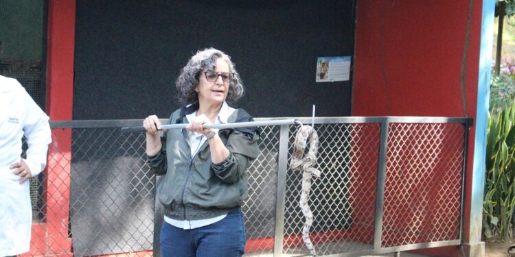 Cebus oferece capacitação sobre manejo de animais para empresas