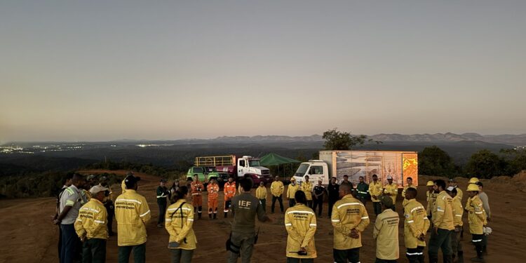 Parque do Rio Doce realiza queima prescrita em Timóteo
