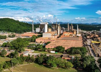 Cenibra reduz tempo de cadastro de materiais pela metade