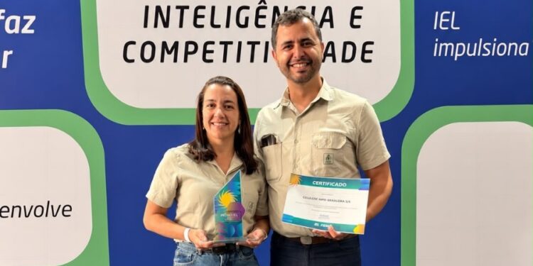 Cenibra abre inscrições para programa de estágio 2027